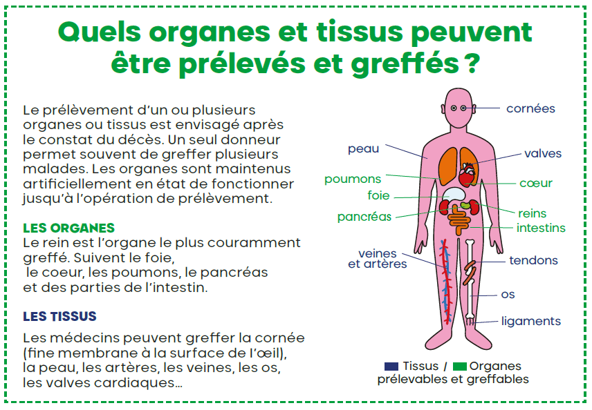 infographie-agence-de-biomedecine (1)